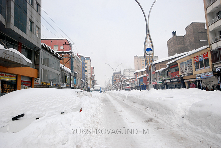 Yüksekova Kaymakamı Doğramacı: Bir afet yaşıyoruz 16