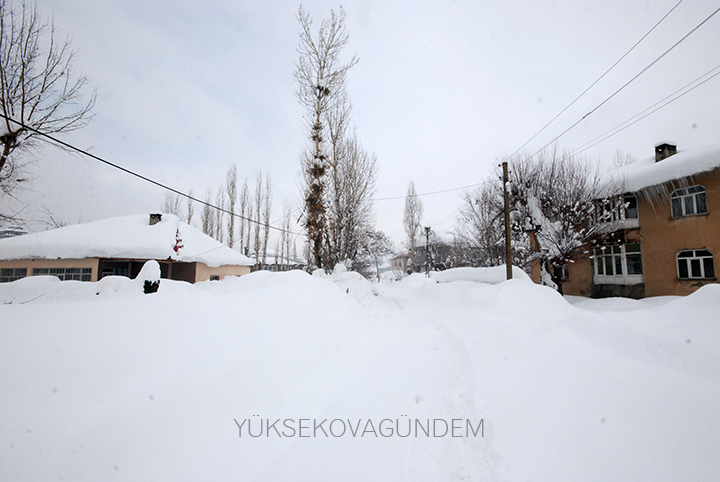 Yüksekova Kaymakamı Doğramacı: Bir afet yaşıyoruz 17