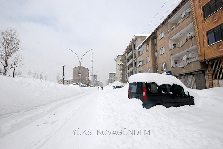 Yüksekova Kaymakamı Doğramacı: Bir afet yaşıyoruz 18