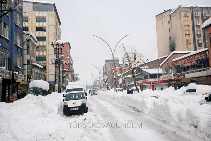 Yüksekova Kaymakamı Doğramacı: Bir afet yaşıyoruz 19