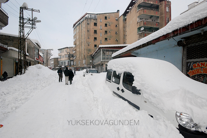 Yüksekova Kaymakamı Doğramacı: Bir afet yaşıyoruz 8