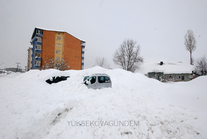 Yüksekova Kaymakamı Doğramacı: Bir afet yaşıyoruz 9