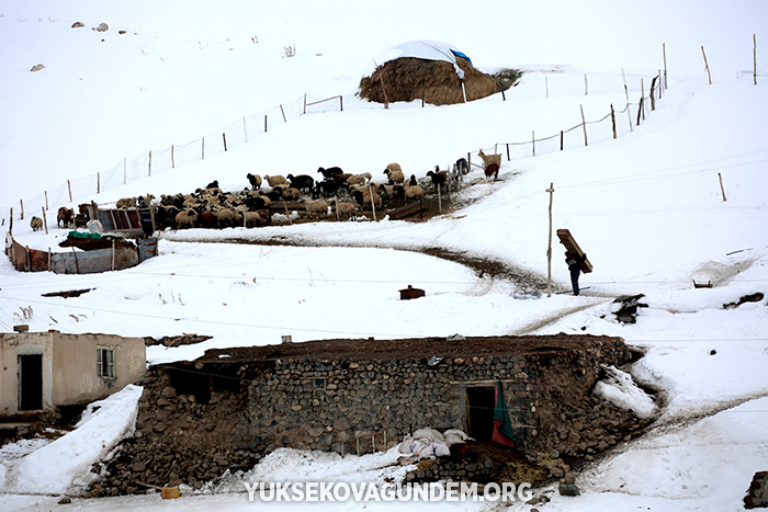 Fotoğraflarla Başkale depremi! 46