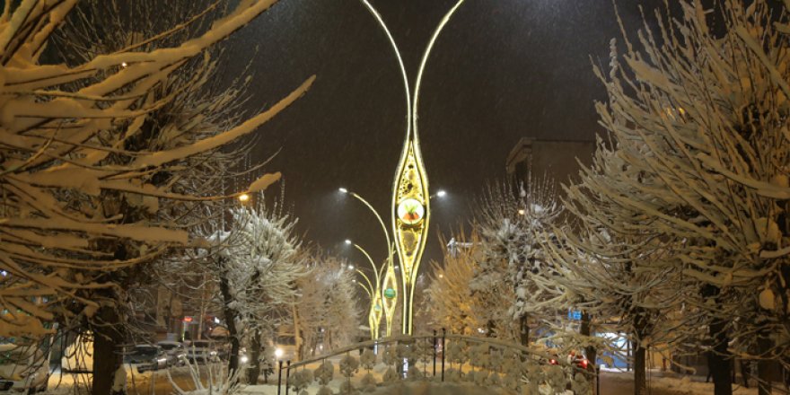 Yüksekova'da karpostallık manzaralar