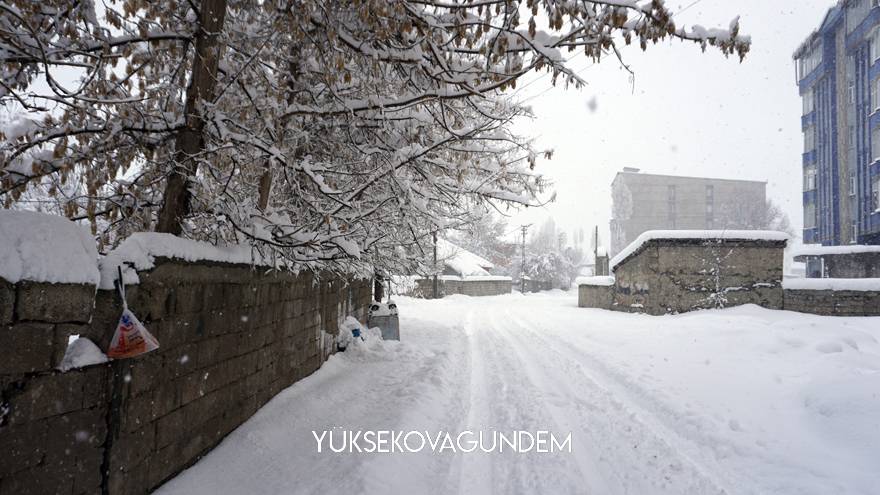 Yüksekova’da yoğun kar yağışı 18
