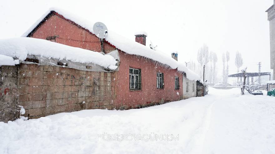Yüksekova’da yoğun kar yağışı 19