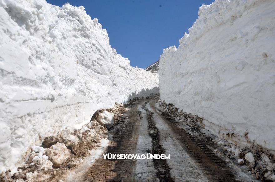 Yüksekova’da 8 metrelik kar tünelleri 12