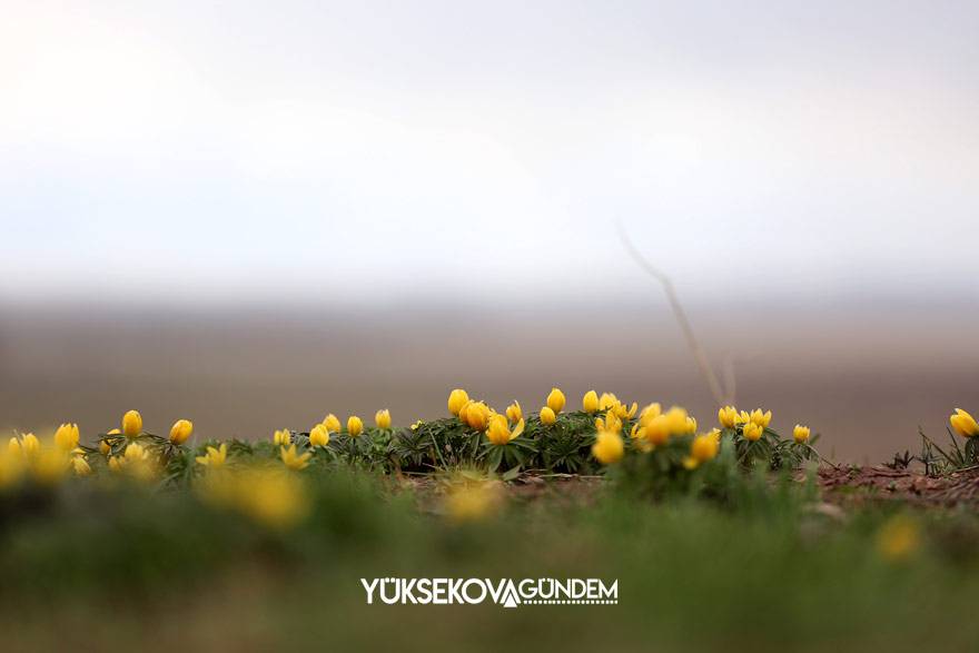 Yüksekova’da iki mevsim bir arada 9