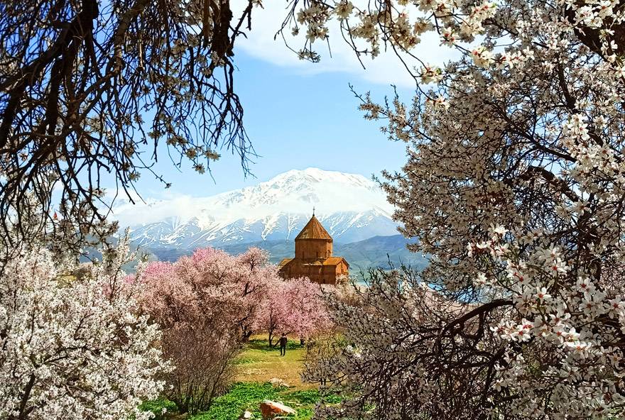 Badem çiçekleriyle süslenen Akdamar Adası’nda görsel şölen 2