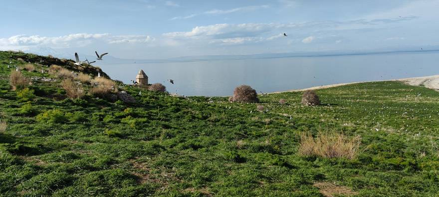 Van Gölü'nün el değmemiş güzelliği 'Çarpanak Adası' 2