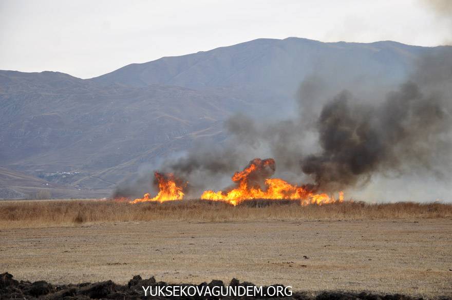 Yüksekova’da Kuş cenneti alev alev yanıyor 2