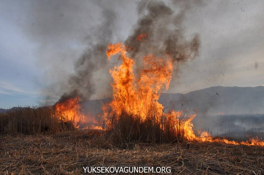 Yüksekova’da Kuş cenneti alev alev yanıyor 39