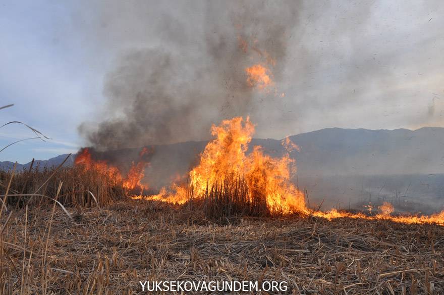 Yüksekova’da Kuş cenneti alev alev yanıyor 40