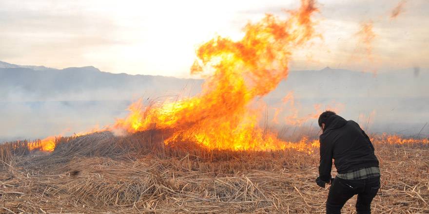 Yüksekova’da Kuş cenneti alev alev yanıyor