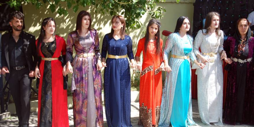 Yüksekova Düğünleri 29 Temmuz  - 16 Ağustos