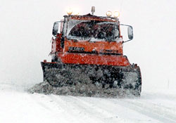 Muhtarın asılsız ihbarı sonu oldu