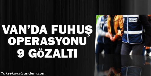 Van'da fuhuş operasyonu: 9 gözaltı