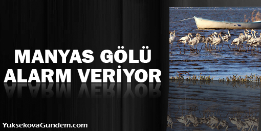 Manyas Gölü alarm veriyor!