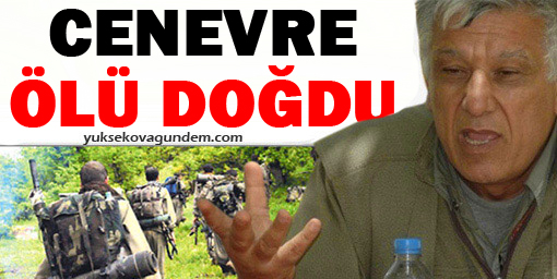 Bayık: Cenevre ölü doğdu