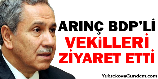 Arınç: İçeride kalmalarını hazmedemiyorum