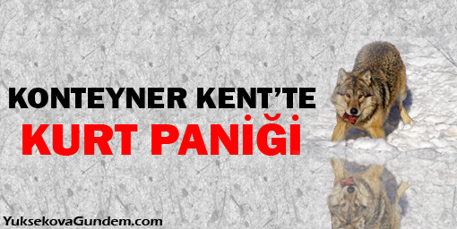 Anadolu Konteyner Kent'te Kurt Paniği