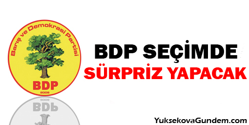 Gür: En büyük sürprizi BDP yapacak