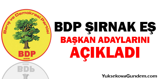 BDP, Şırnak ilçe ve belde eş başkan adaylarını açıkladı