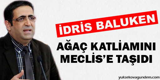 Vadisi'ndeki ağaç katliamını Meclis'e taşıdı