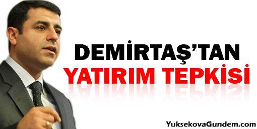 Demirtaş'tan yatırım tepkisi