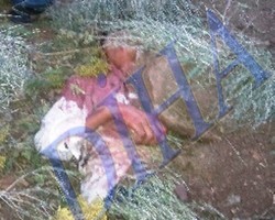 Vahşetin fotoğrafı yayınlandı