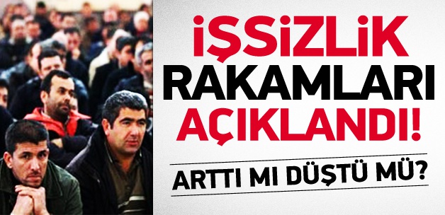2013 yılı işsizlik rakamları açıklandı