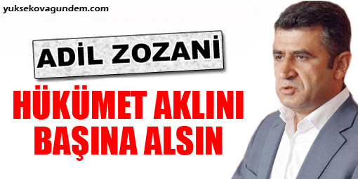 'Hükümet Aklını Başına Alsın'