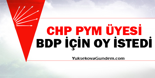 Dursun Bulut, Bdp İçin Oy İstedi