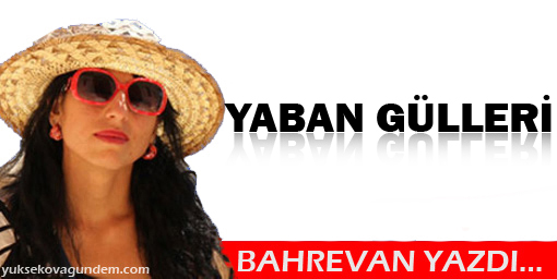 Yaban Gülleri