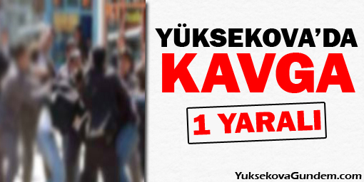 Yüksekova'da kavga: 1 yaralı