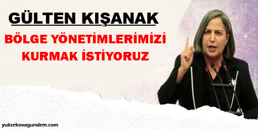 Kışanak: Özerk Bölge Yönetimlerimizi Kurmak İstiyoruz