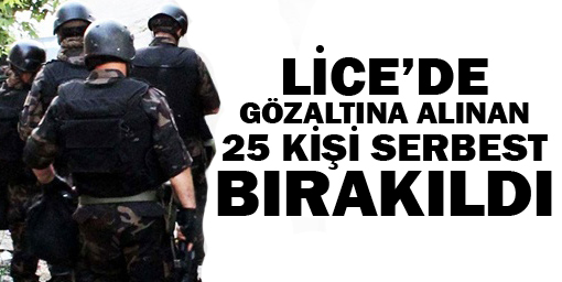Lice'de gözaltına alınan 25 kişi serbest bırakıldı