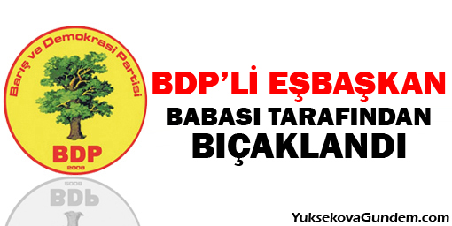 BDP'li Eşbaşkan babası tarafından bıçaklandı