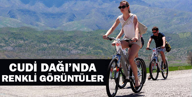 Cudi Dağı'nda renkli görüntüler