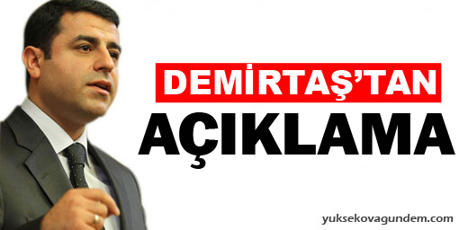 Demirtaş'tan genel başkanlık açıklaması
