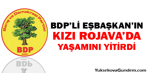 BDP'li eş başkanının kızı Rojava'da yaşamını yitirdi