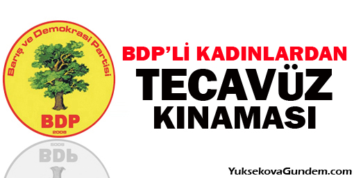 Bdp'li Kadınlardan Meclis Toplantısında Tecavüz Kınaması