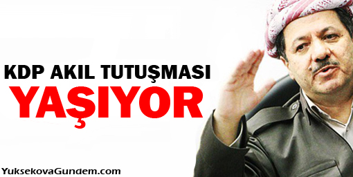 DTK: KDP akıl tutulması yaşıyor