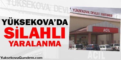 Yüksekovada Silahlı Yaralanma