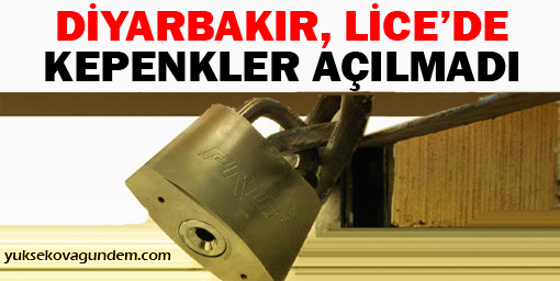 Lice'de yurttaşlar operasyon bölgesine gidiyor