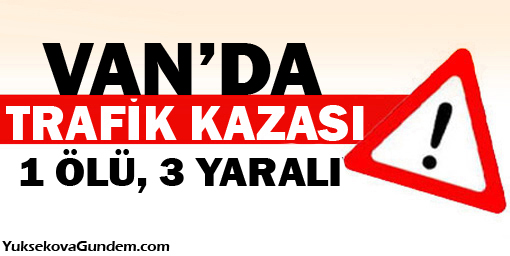 Anne ve 3 Çocuğuna Minibüs Çarptı