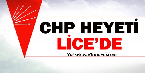 CHP heyeti Lice'de: Sivil düşmüş, ateş sürmüş