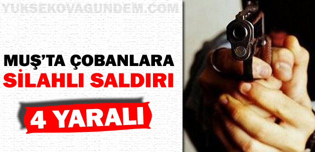 Muş'ta çobanlara silahlı saldırı!