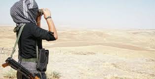 Güney Kürdistan sınırları YPG güvencesinde