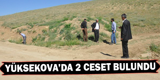 Yüksekovada 2 Ceset Bulundu
